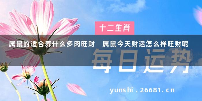 属鼠的适合养什么多肉旺财 属鼠今天财运怎么样旺财呢